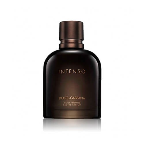 Intiso Dolce & Gabbana perfume for men Eau de Parfum 125 ml